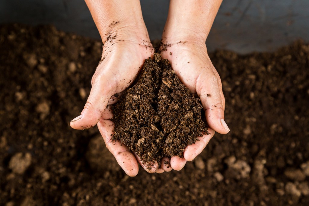 Close up view of soil within hands.
