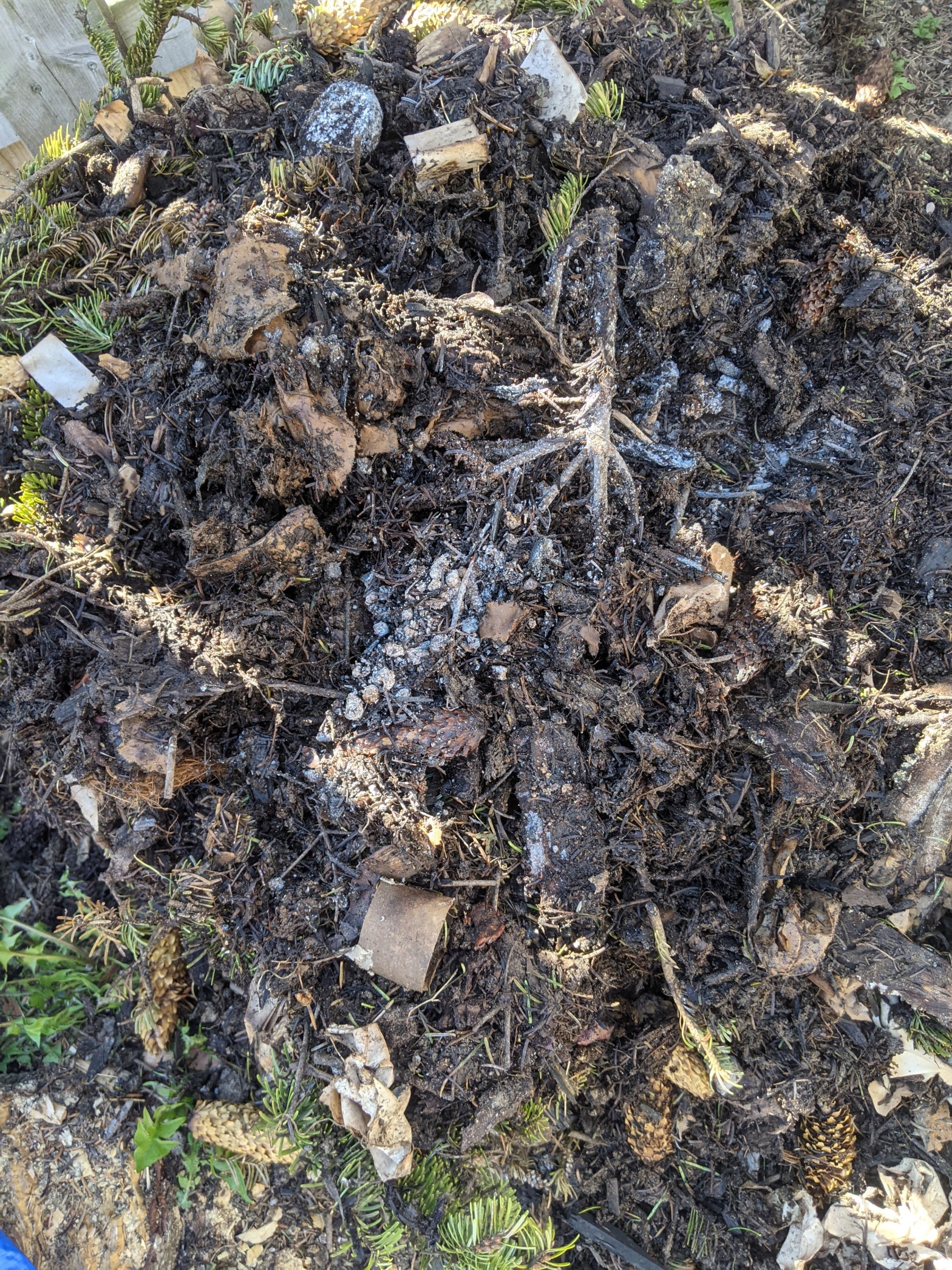 Making Thermophilic Compost