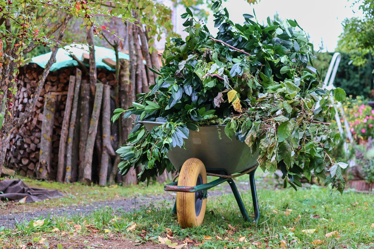 wheelbarrow with brush